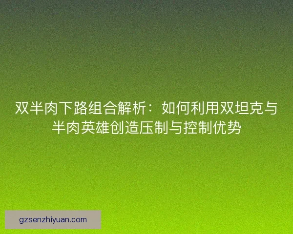 双半肉下路组合解析：如何利用双坦克与半肉英雄创造压制与控制优势