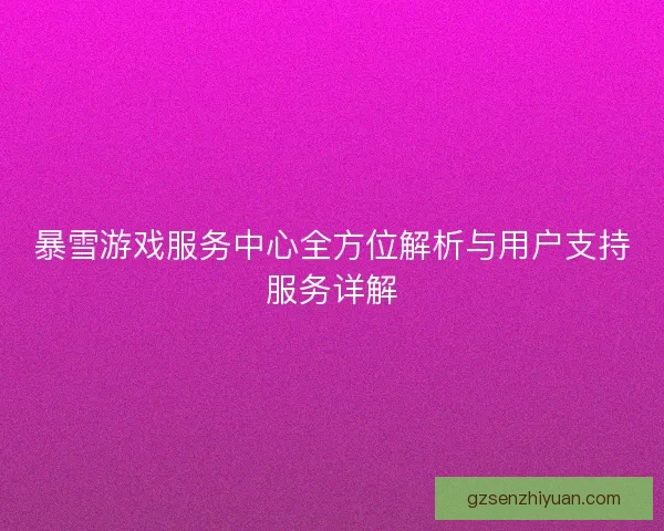暴雪游戏服务中心全方位解析与用户支持服务详解