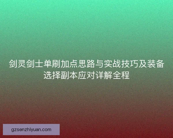 剑灵剑士单刷加点思路与实战技巧及装备选择副本应对详解全程