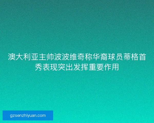 澳大利亚主帅波波维奇称华裔球员蒂格首秀表现突出发挥重要作用