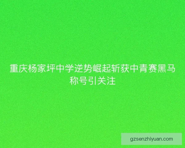 重庆杨家坪中学逆势崛起斩获中青赛黑马称号引关注 重庆杨家坪中学逆势崛起斩获中青赛黑马称号引关注