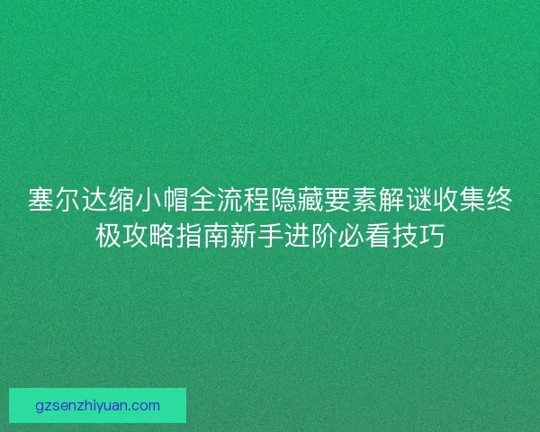 塞尔达缩小帽全流程隐藏要素解谜收集终极攻略指南新手进阶必看技巧 塞尔达缩小帽全流程隐藏要素解谜收集终极攻略指南新手进阶必看技巧